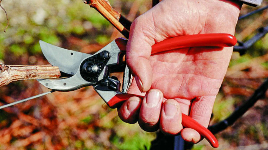 Sécateur à main FELCO 9 pour gaucher