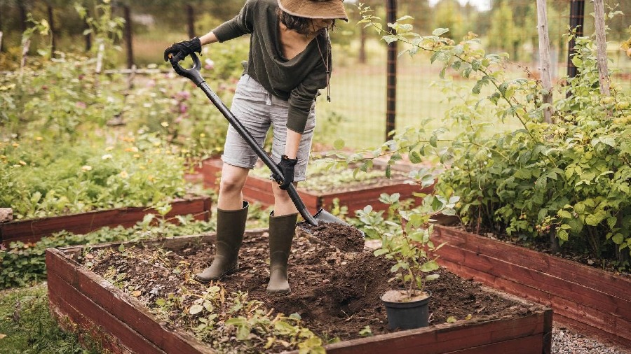 Bêche de jardin pointue 125 cm 1070639 Fiskars