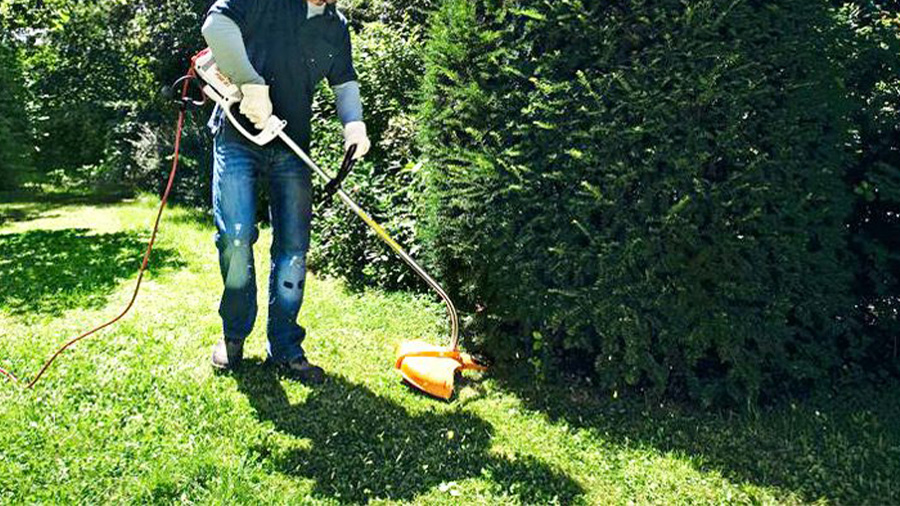 Coupe-herbes électrique FSE 81 STIHL